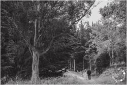 Krystle &amp; Rick's Vow Renewal